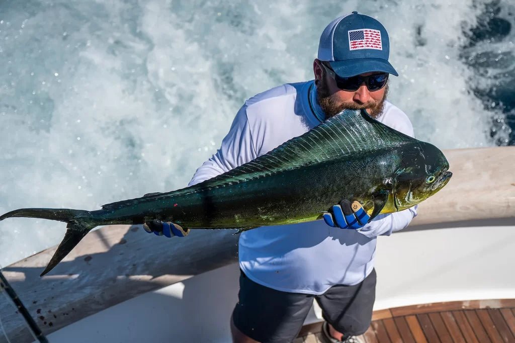 How Polarized Fishing Sunglasses Enhance Your Catch Rate - Hook sunglasses