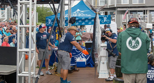 Suspense at the Dock Before the White Marlin Open - Hook sunglasses
