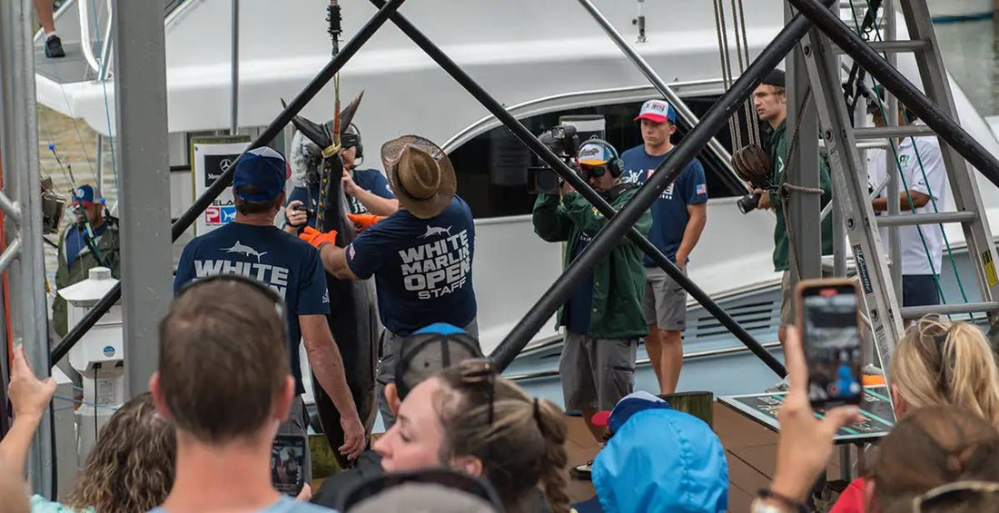 Watch the Story Behind the White Marlin Open | History, New Format & Jim Motsko Interview - Hook Optics Sunglasses