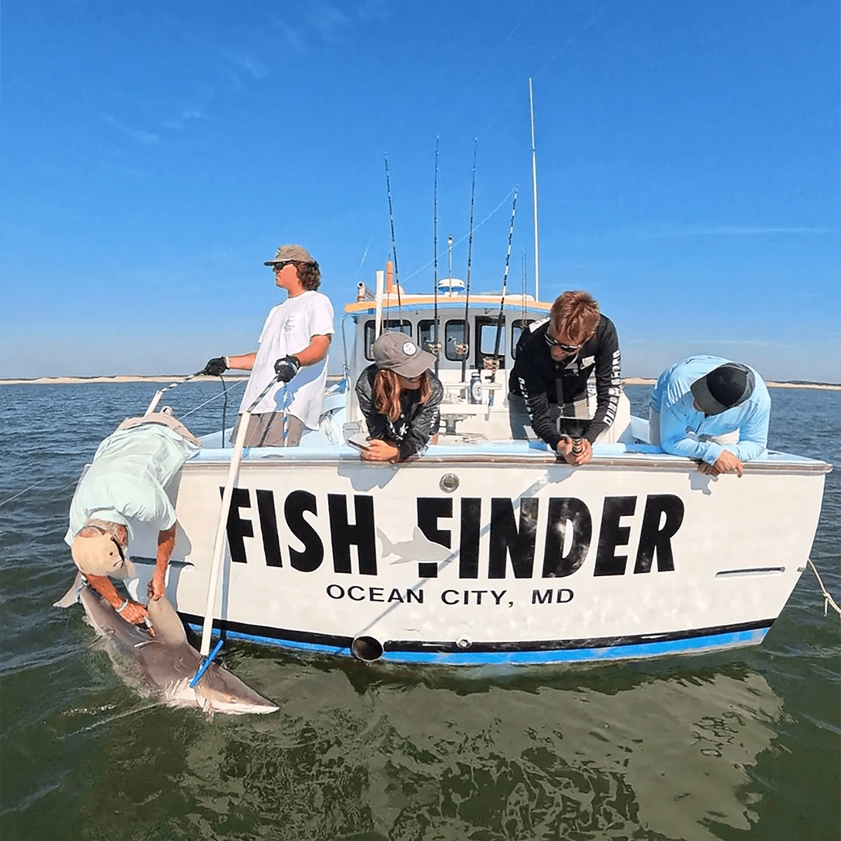 Fish Finder - Made in USA - Polarized Sunglasses - Hook sunglasses