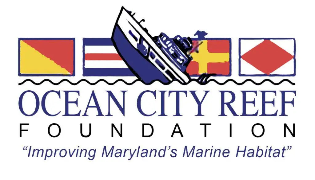 Hook Optics Best Sunglasses supporting of OC Reef Foundation