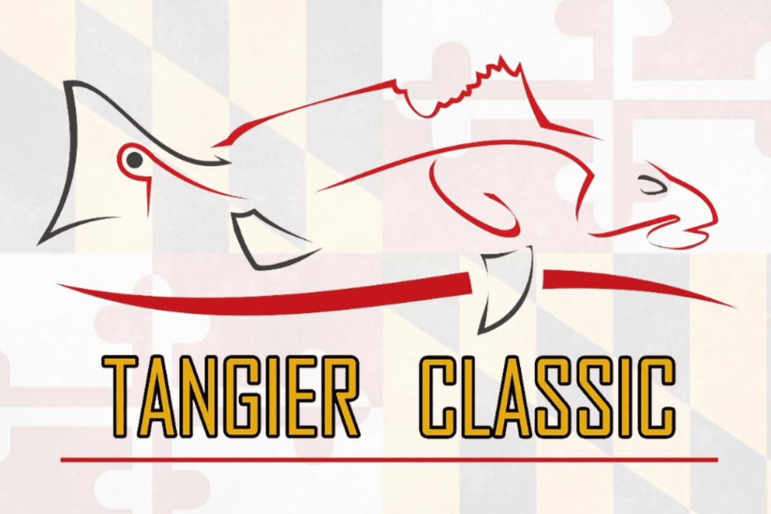 Logo for Tangier Classic with fish illustrations on a striped background, Hook Optics Best Sunglasses 