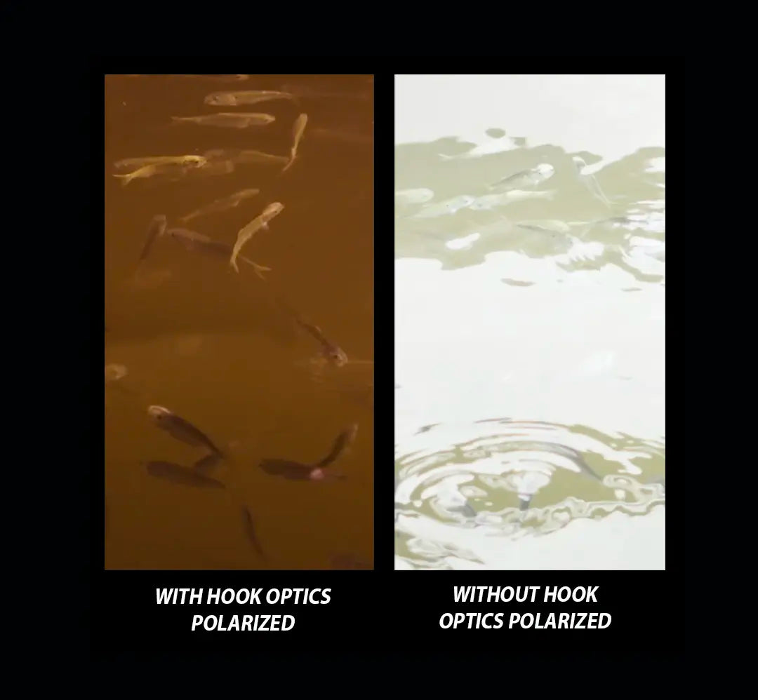 Comparison of water clarity with and without hook optics polarized filter.