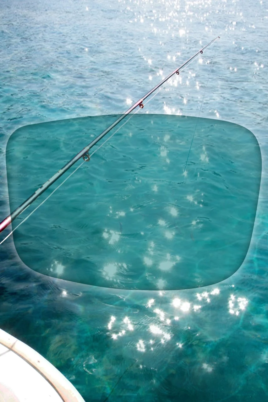 Zeiss Source Image Polarized Fish